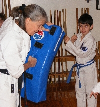 Kyoshi Holding a Target Pad