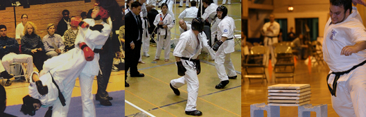 Seido tourmanent banner